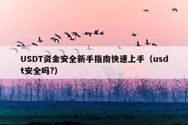 USDT资金安全新手指南快速上手(usdt安全吗?)