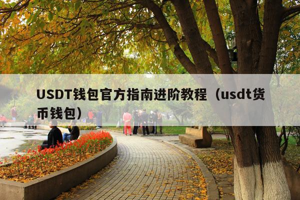 USDT钱包官方指南进阶教程(usdt货币钱包)