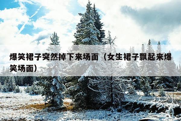 爆笑裙子突然掉下来场面(女生裙子飘起来爆笑场面)