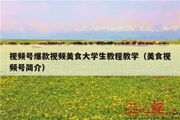 视频号爆款视频美食大学生教程教学(美食视频号简介)