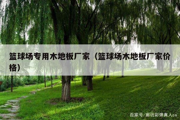 篮球场专用木地板厂家(篮球场木地板厂家价格)
