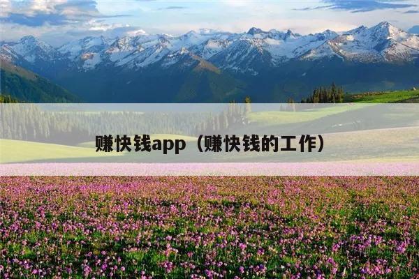 赚快钱app(赚快钱的工作)