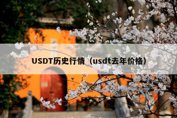 USDT历史行情(usdt去年价格)