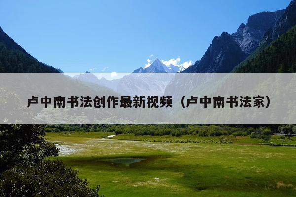 卢中南书法创作最新视频(卢中南书法家)