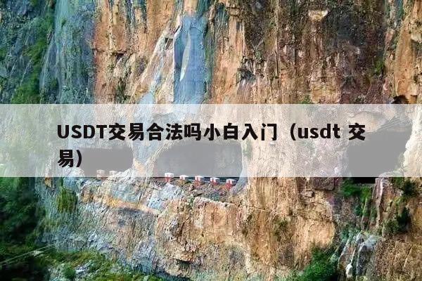 USDT交易合法吗小白入门(usdt 交易)