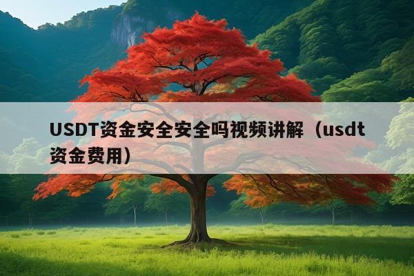 USDT资金安全安全吗视频讲解(usdt资金费用)