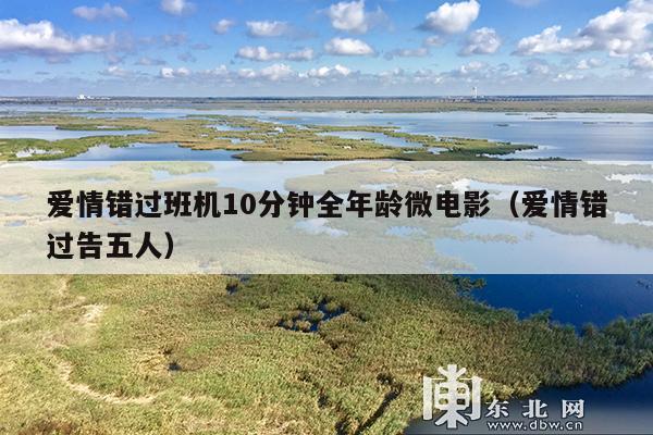 爱情错过班机10分钟全年龄微电影(爱情错过告五人)