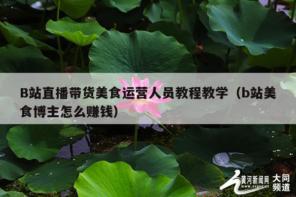 B站直播带货美食运营人员教程教学(b站美食博主怎么赚钱)