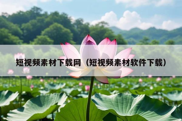 短视频素材下载网(短视频素材软件下载)