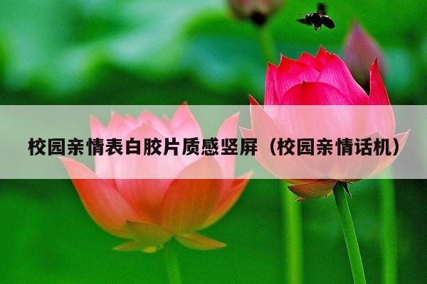 校园亲情表白胶片质感竖屏(校园亲情话机)