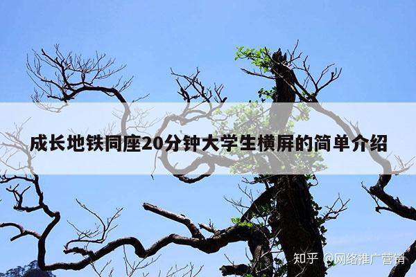 成长地铁同座20分钟大学生横屏的简单介绍