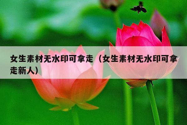 女生素材无水印可拿走(女生素材无水印可拿走新人)