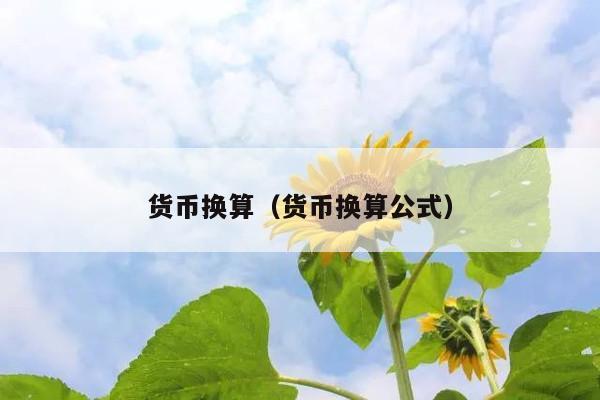 货币换算(货币换算公式)
