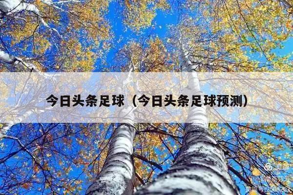 今日头条足球(今日头条足球预测)