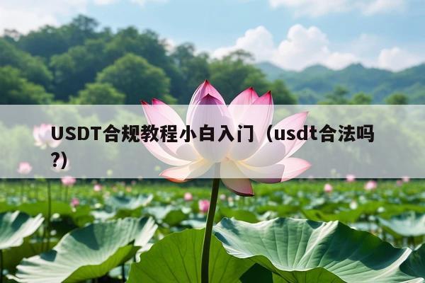 USDT合规教程小白入门(usdt合法吗?)