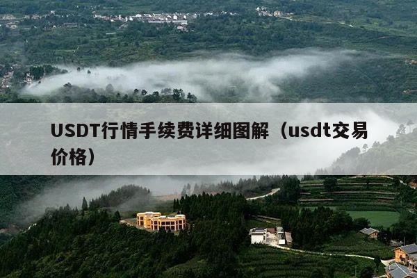 USDT行情手续费详细图解(usdt交易价格)