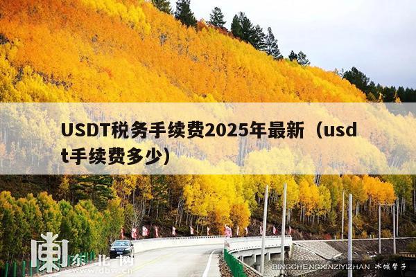 USDT税务手续费2025年最新(usdt手续费多少)