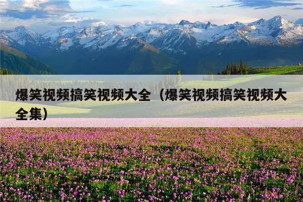 爆笑视频搞笑视频大全(爆笑视频搞笑视频大全集)