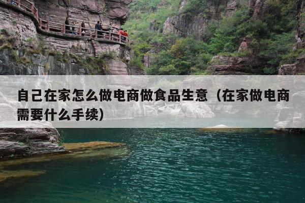 自己在家怎么做电商做食品生意(在家做电商需要什么手续)