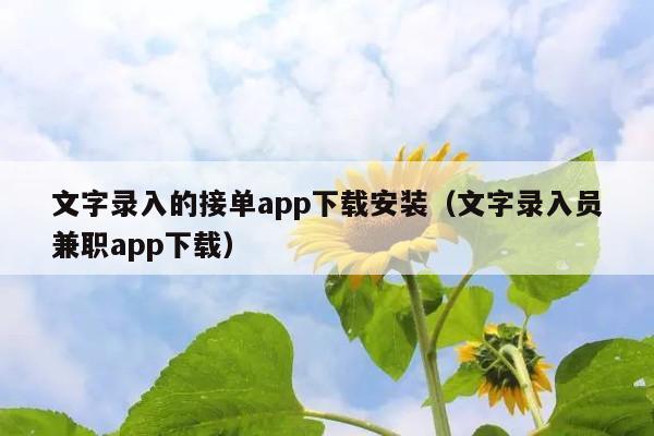 文字录入的接单app下载安装(文字录入员兼职app下载)