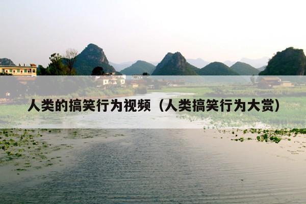 人类的搞笑行为视频(人类搞笑行为大赏)