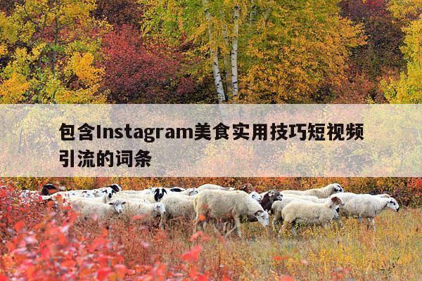 包含Instagram美食实用技巧短视频引流的词条