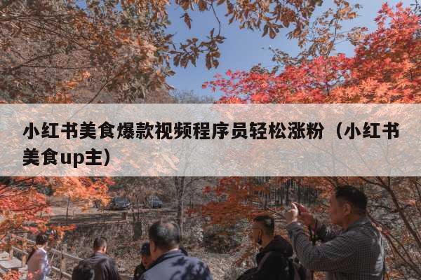 小红书美食爆款视频程序员轻松涨粉(小红书美食up主)