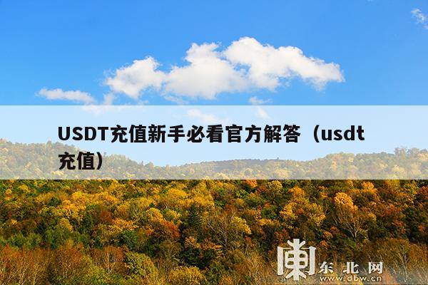 USDT充值新手必看官方解答(usdt 充值)