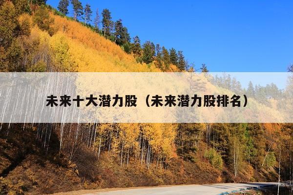未来十大潜力股(未来潜力股排名)