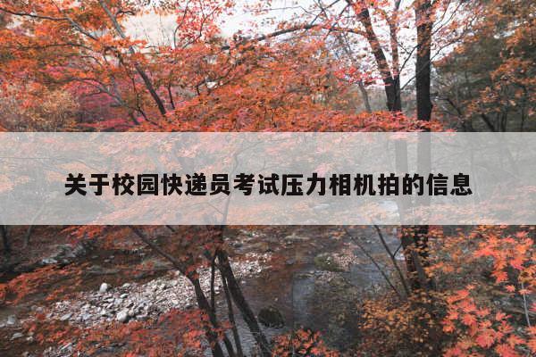 关于校园快递员考试压力相机拍的信息