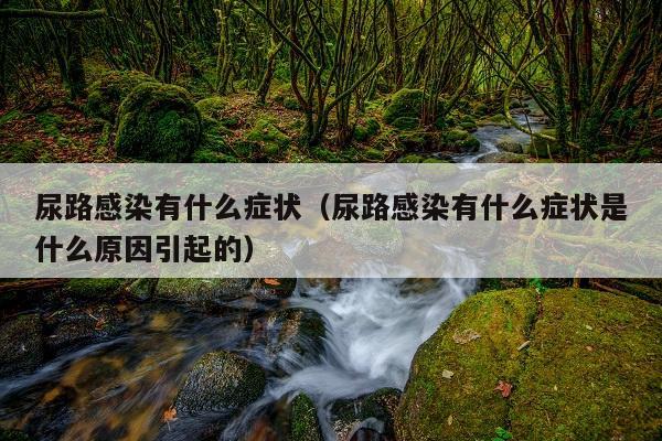 尿路感染有什么症状(尿路感染有什么症状是什么原因引起的)