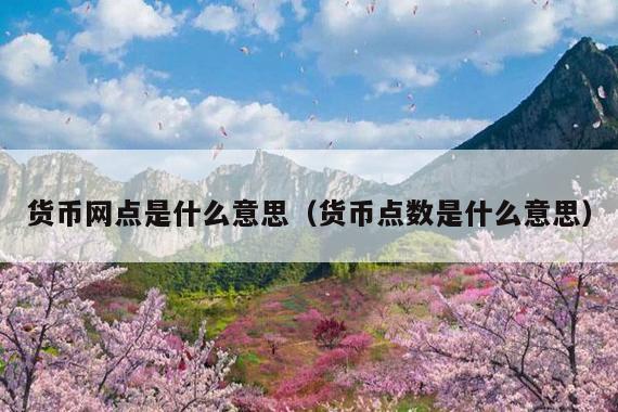 货币网点是什么意思(货币点数是什么意思)