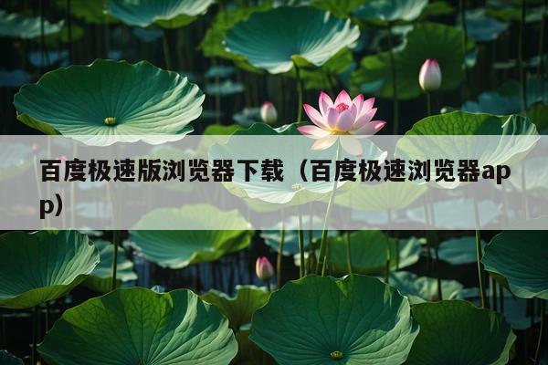 百度极速版浏览器下载(百度极速浏览器app)