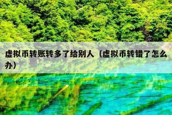 虚拟币转账转多了给别人(虚拟币转错了怎么办)