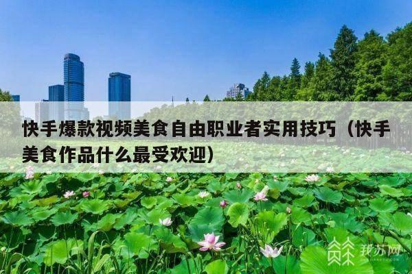 快手爆款视频美食自由职业者实用技巧(快手美食作品什么最受欢迎)