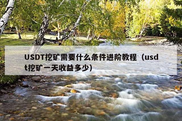 USDT挖矿需要什么条件进阶教程(usdt挖矿一天收益多少)