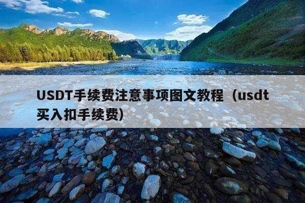 USDT手续费注意事项图文教程(usdt买入扣手续费)