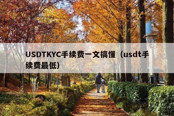 USDTKYC手续费一文搞懂(usdt手续费最低)