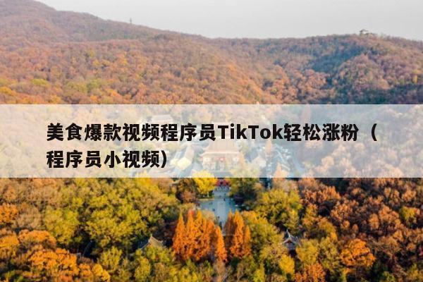 美食爆款视频程序员TikTok轻松涨粉(程序员小视频)