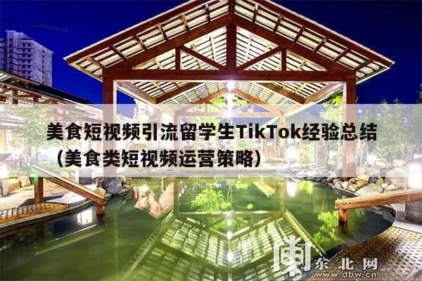 美食短视频引流留学生TikTok经验总结(美食类短视频运营策略)