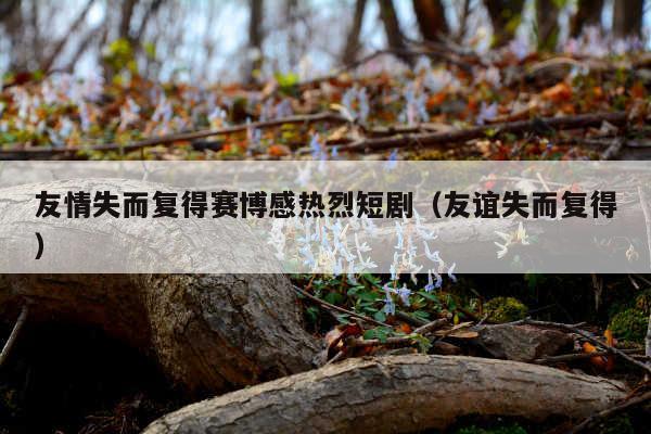 友情失而复得赛博感热烈短剧(友谊失而复得)