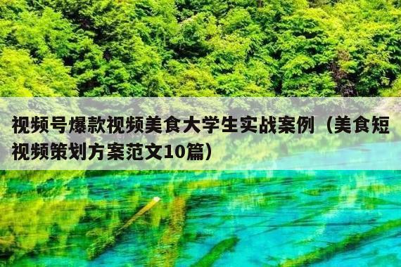 视频号爆款视频美食大学生实战案例(美食短视频策划方案范文10篇)