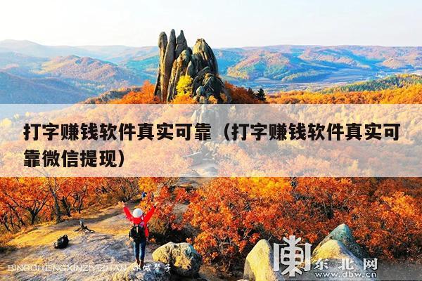 打字赚钱软件真实可靠(打字赚钱软件真实可靠微信提现)