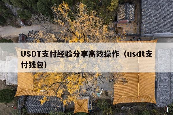USDT支付经验分享高效操作(usdt支付钱包)