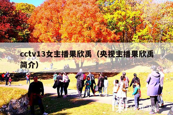 cctv13女主播果欣禹(央视主播果欣禹简介)