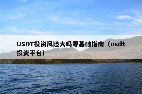 USDT投资风险大吗零基础指南(usdt投资平台)