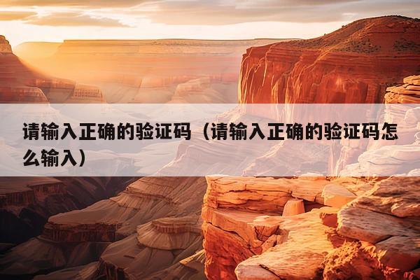 请输入正确的验证码(请输入正确的验证码怎么输入)