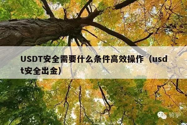 USDT安全需要什么条件高效操作(usdt安全出金)
