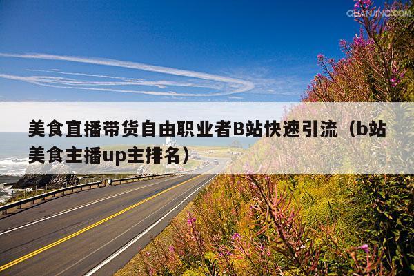 美食直播带货自由职业者B站快速引流(b站美食主播up主排名)