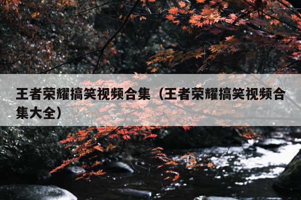 王者荣耀搞笑视频合集(王者荣耀搞笑视频合集大全)